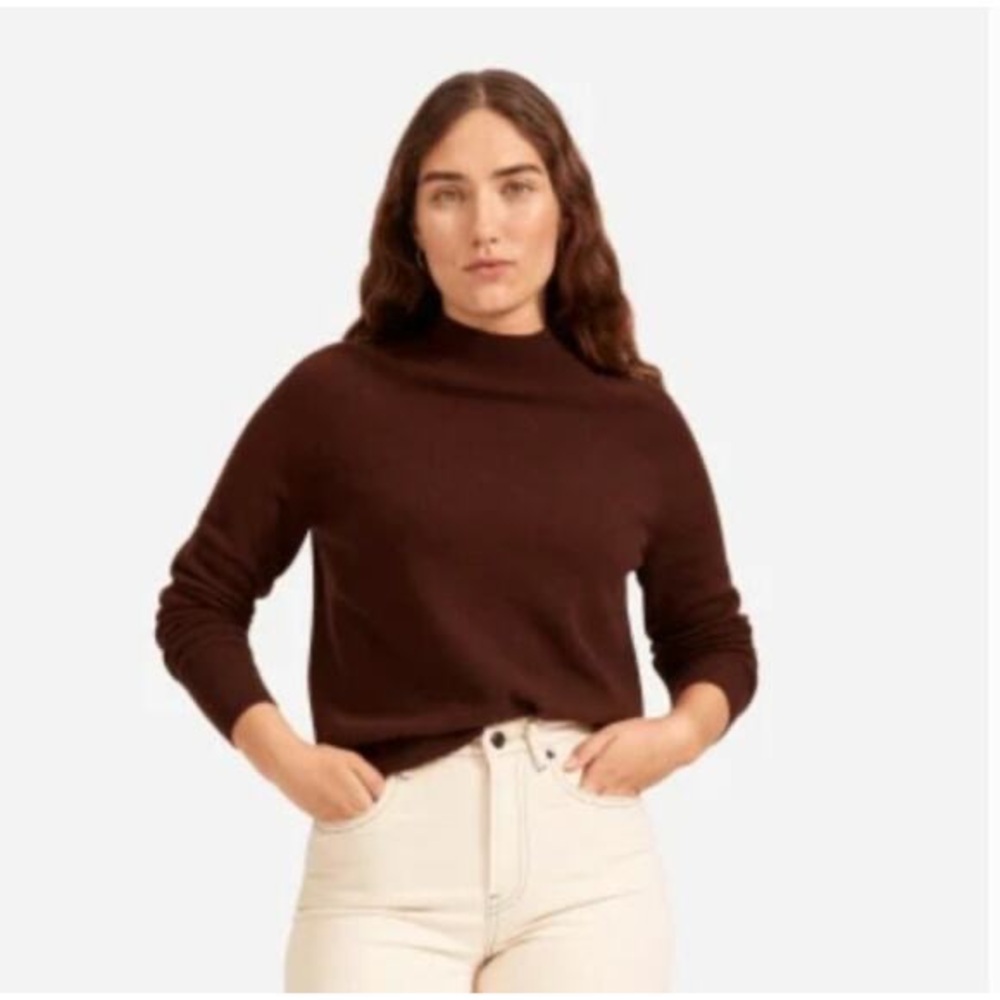 Everlane brown cashmere mock neck sweater